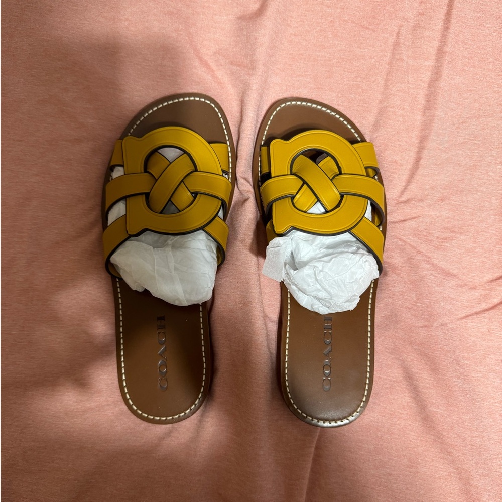 Coach Leather Issa Sandal